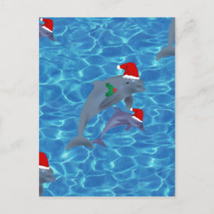 Cartes Pour Fêtes Annuelles dauphins du père noël