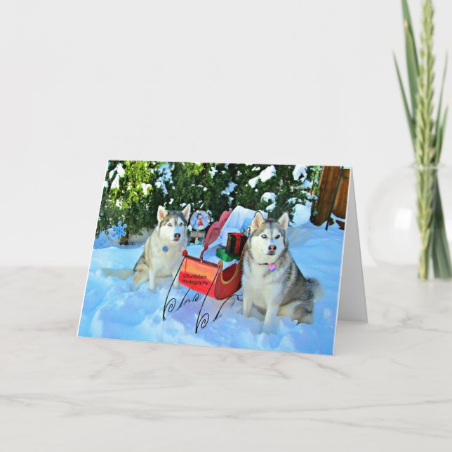 Cartes Pour Fêtes Annuelles De beaux Huskies sibériens dans la neige (Devant)