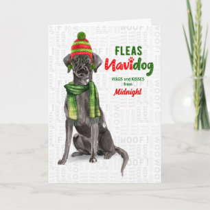 Cartes Pour Fêtes Annuelles de Dog Black Lab Fleas Navidog Noël