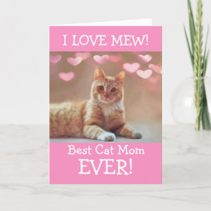 Cartes Pour Fêtes Annuelles De La Cute Cat Custom Saint Valentin