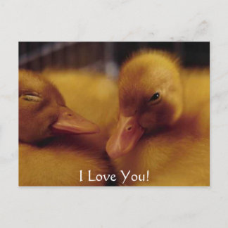 Cartes Pour Fêtes Annuelles De mignons petits canards