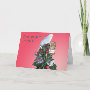 Cartes Pour Fêtes Annuelles De mon nid