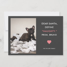Cartes Pour Fêtes Annuelles Dear Santa Define Naughty Funny Pet Photo