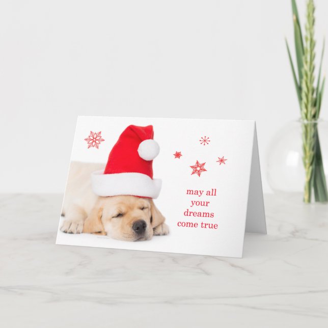 Cartes Pour Fêtes Annuelles Dear Santa Dreams (Devant)