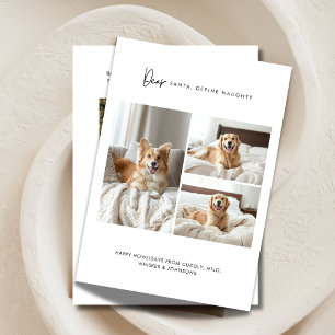 Cartes Pour Fêtes Annuelles Définir Naughty Funny 4 Photo Chien de Noël Animal