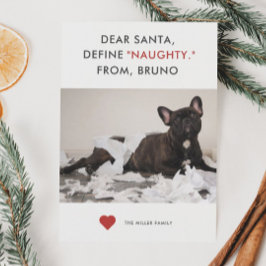 Cartes Pour Fêtes Annuelles Définir Naughty Funny Photo pour animal de compagn