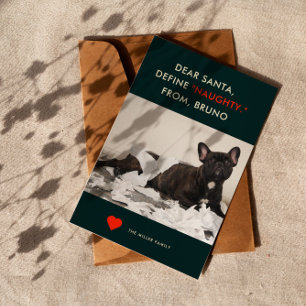 Cartes Pour Fêtes Annuelles Définir Naughty Photo de chien mignonne et drôle