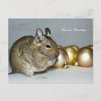 Cartes Pour Fêtes Annuelles Degu & Baubles Vœux de la saison