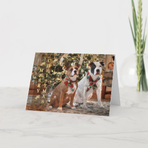 Cartes Pour Fêtes Annuelles Délivrance mignonne Pitbull de Noël et chien de