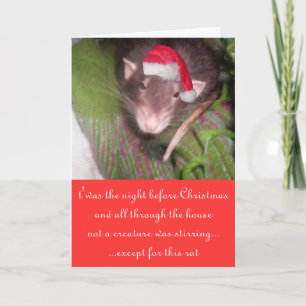 Cartes Pour Fêtes Annuelles Dépats de Noël