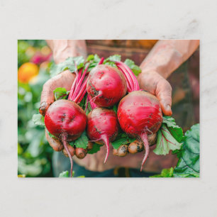 Cartes Pour Fêtes Annuelles Des betteraves rouges fraîches dans un style rusti