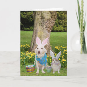 Cartes Pour Fêtes Annuelles Des Lapins T'Aiment !