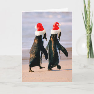 Cartes Pour Fêtes Annuelles Des pingouins à Santa Hats sur la plage