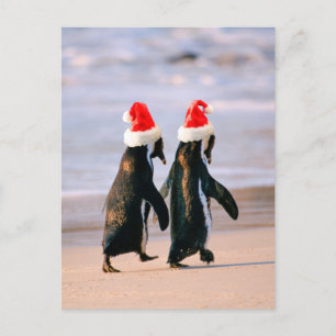 Cartes Pour Fêtes Annuelles Des pingouins à Santa Hats sur la plage