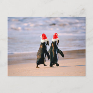 Cartes Pour Fêtes Annuelles Des pingouins à Santa Hats sur la plage
