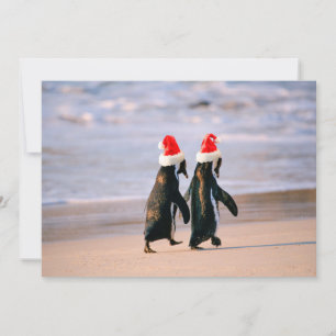Cartes Pour Fêtes Annuelles Des pingouins à Santa Hats sur la plage