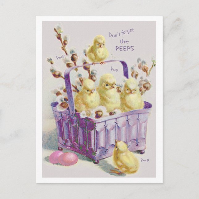 CARTES POUR FÊTES ANNUELLES "DES POUSSINS DE PANIER DE PÂQUES N'OUBLIEZ PAS (Devant)