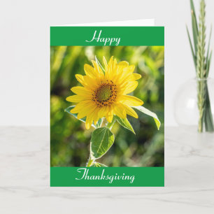CARTES POUR FÊTES ANNUELLES DES SOUCHES POUR UN SOUHAIT DE "BON THANKSGIVING"