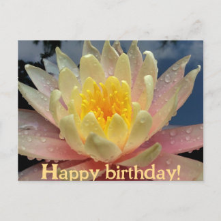 Cartes Pour Fêtes Annuelles Design/Lys d'eau, Nymphée/Joyeux Anniversaire/