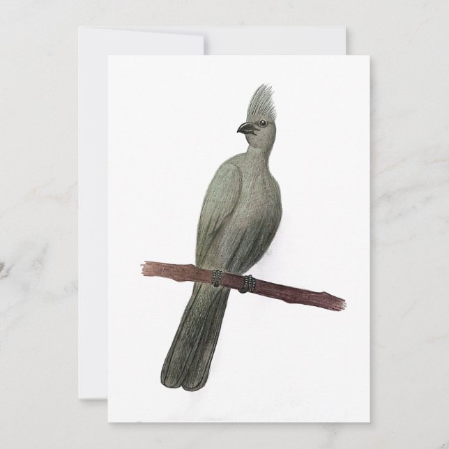 Cartes Pour Fêtes Annuelles Dessin au crayon d'oiseau gris (Devant)