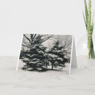 Cartes Pour Fêtes Annuelles Deux arbres en hiver (carte de voeux vierge)