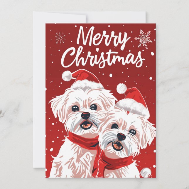 Cartes Pour Fêtes Annuelles Deux Bichon Frise Joyeux Noël (Devant)