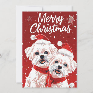 Cartes Pour Fêtes Annuelles Deux Bichon Frise Joyeux Noël