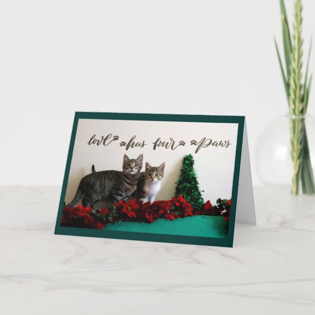Cartes Pour Fêtes Annuelles Deux chatons pour Noël (Devant)