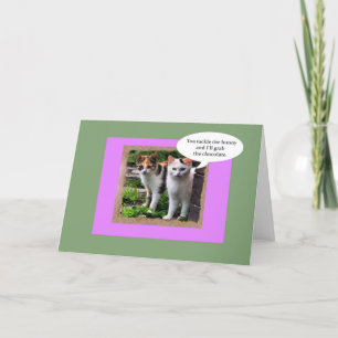 Cartes Pour Fêtes Annuelles Deux chats moyens abordent le lapin de Pâques