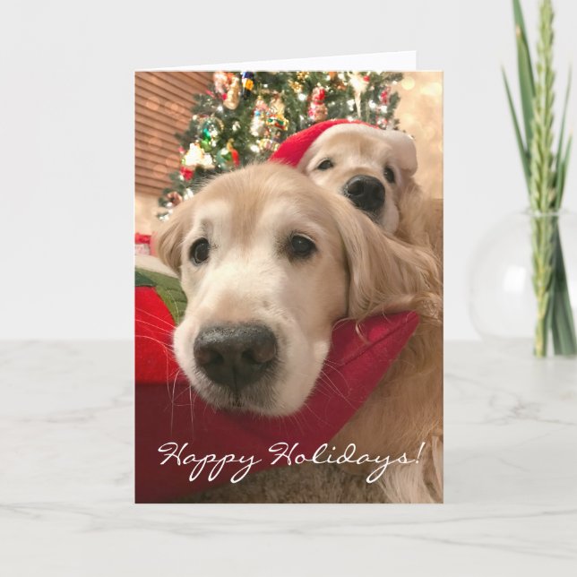 Cartes Pour Fêtes Annuelles Deux Chiens d'or de vacances Noël (Devant)