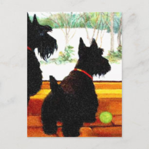 Cartes Pour Fêtes Annuelles Deux Chiens écossais attendent le Père Noël