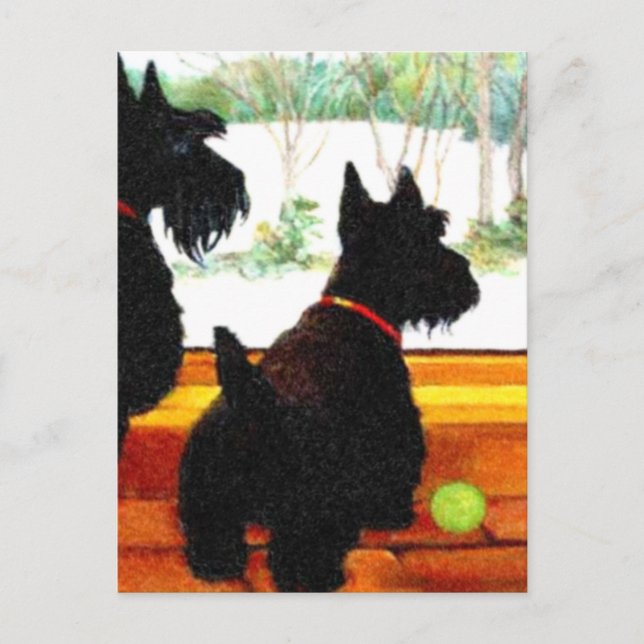 Cartes Pour Fêtes Annuelles Deux Chiens écossais attendent le Père Noël (Devant)