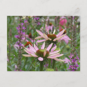 Cartes Pour Fêtes Annuelles Deux Conférenciers et Fleurs sauvages do-it-yourse