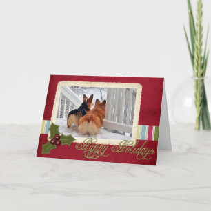 Cartes Pour Fêtes Annuelles Deux Corgis gallois dans la neige avec cadre de va