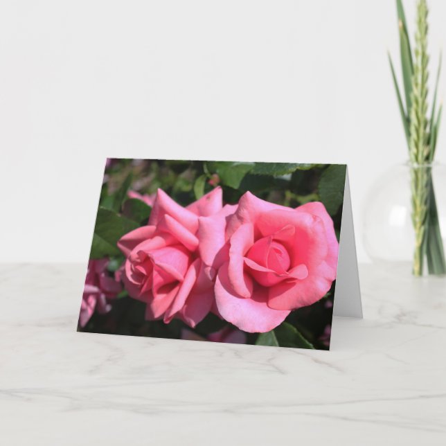 Cartes Pour Fêtes Annuelles deux fleurs roses roses chaudes. (Devant)