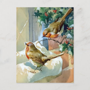 Cartes Pour Fêtes Annuelles Deux Robins Sur La Neige Couvert Holly