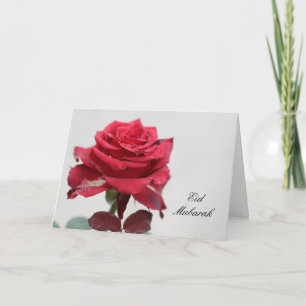 Cartes Pour Fêtes Annuelles Die Mubarak