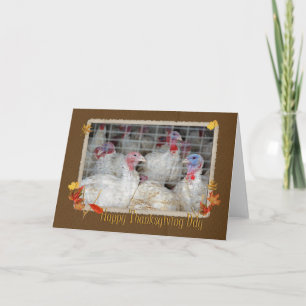 Cartes Pour Fêtes Annuelles Dinde de Thanksgiving