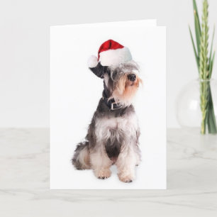 Cartes Pour Fêtes Annuelles Ditzy Dogs~Carte pour notes original~Schnauzer min