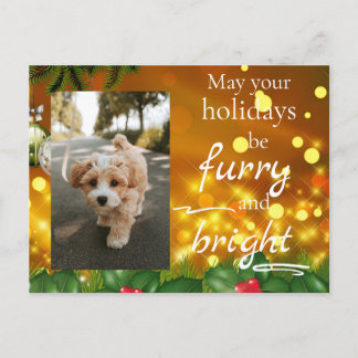 Cartes Pour Fêtes Annuelles Dog Cat Pet Custom Photo Christmas Postcard Funny