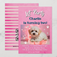 Dog Let's Party Birthday 