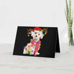 Cartes Pour Fêtes Annuelles Dog Lover   Maltese Santa Hat Xmas Fairy Light