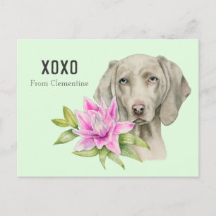 Cartes Pour Fêtes Annuelles Dog   Valentine