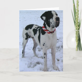 Cartes Pour Fêtes Annuelles Dogue allemand, Noël, Nouveau An, lustigesGedicht