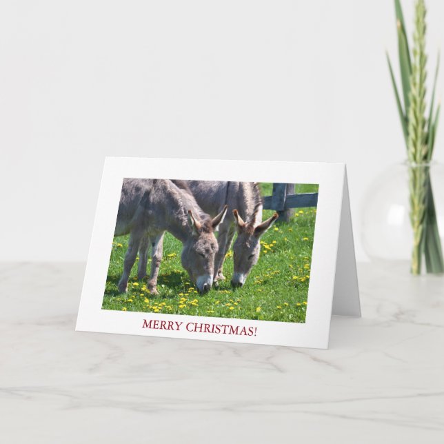 Cartes Pour Fêtes Annuelles Donkey animal de Noël (Devant)