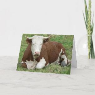 Cartes Pour Fêtes Annuelles Donnez-leur l'Oiseau pour Thanksgiving !