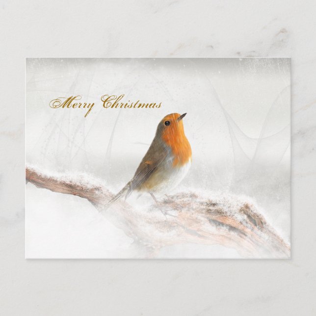 Cartes Pour Fêtes Annuelles Douche à neige Robin Redmamie (Devant)
