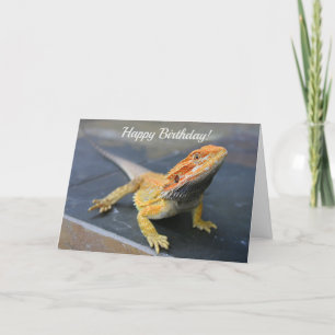 Cartes Pour Fêtes Annuelles Dragon à arc-en-ciel personnalisable