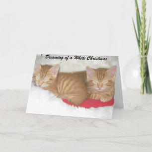 Cartes Pour Fêtes Annuelles Dreaming of a White Christmas