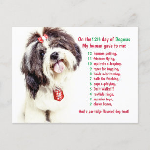 Cartes Pour Fêtes Annuelles Drôle 12 Jours de Noël Dogmas